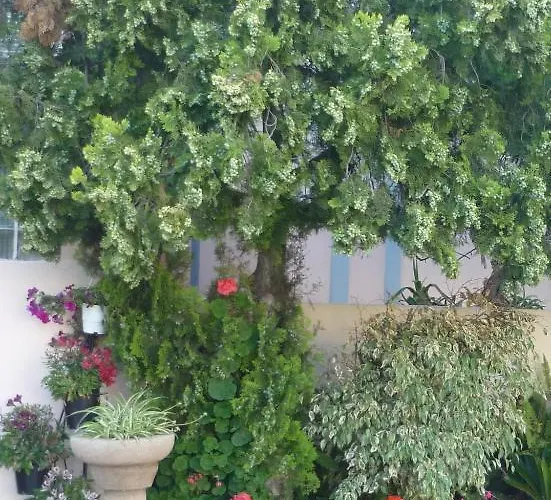 Rainbow 2* עיר רודוס